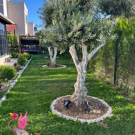 Entire Eksioglu Paradise Town In Antalya Βίλα *
